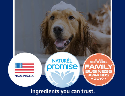 TrueBlue Grapefruit & Chamomile Deodorizing Dog Shampoo – Cleansing Wash, Moisturizing – Toxin Free, Natural Botanical Blend – Tearless – 12 Fl. Oz.
