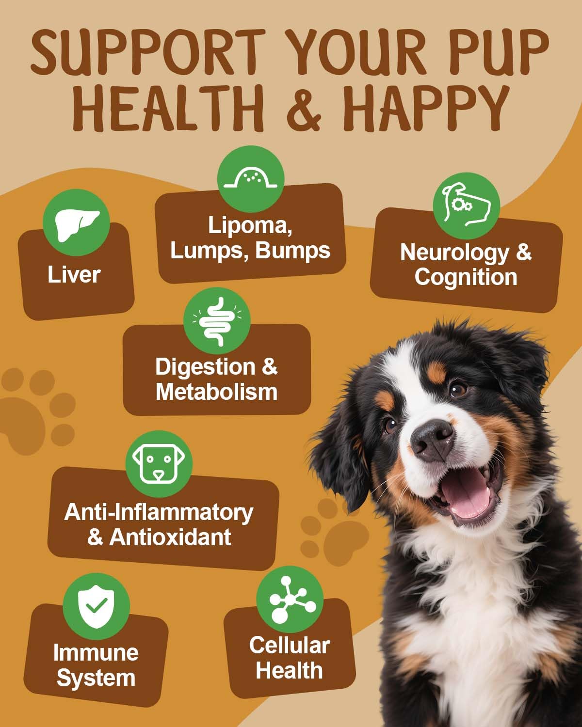 Mushroom for Dogs - Lipoma for Dogs - 9 Organic Mushroom with Turkey Tail, Reishi, Lions Mane - Digestive, Cellular, Immune Health Support - Dog Lumps and Bumps Treatment - 100 Scoops, Chicken Flavor