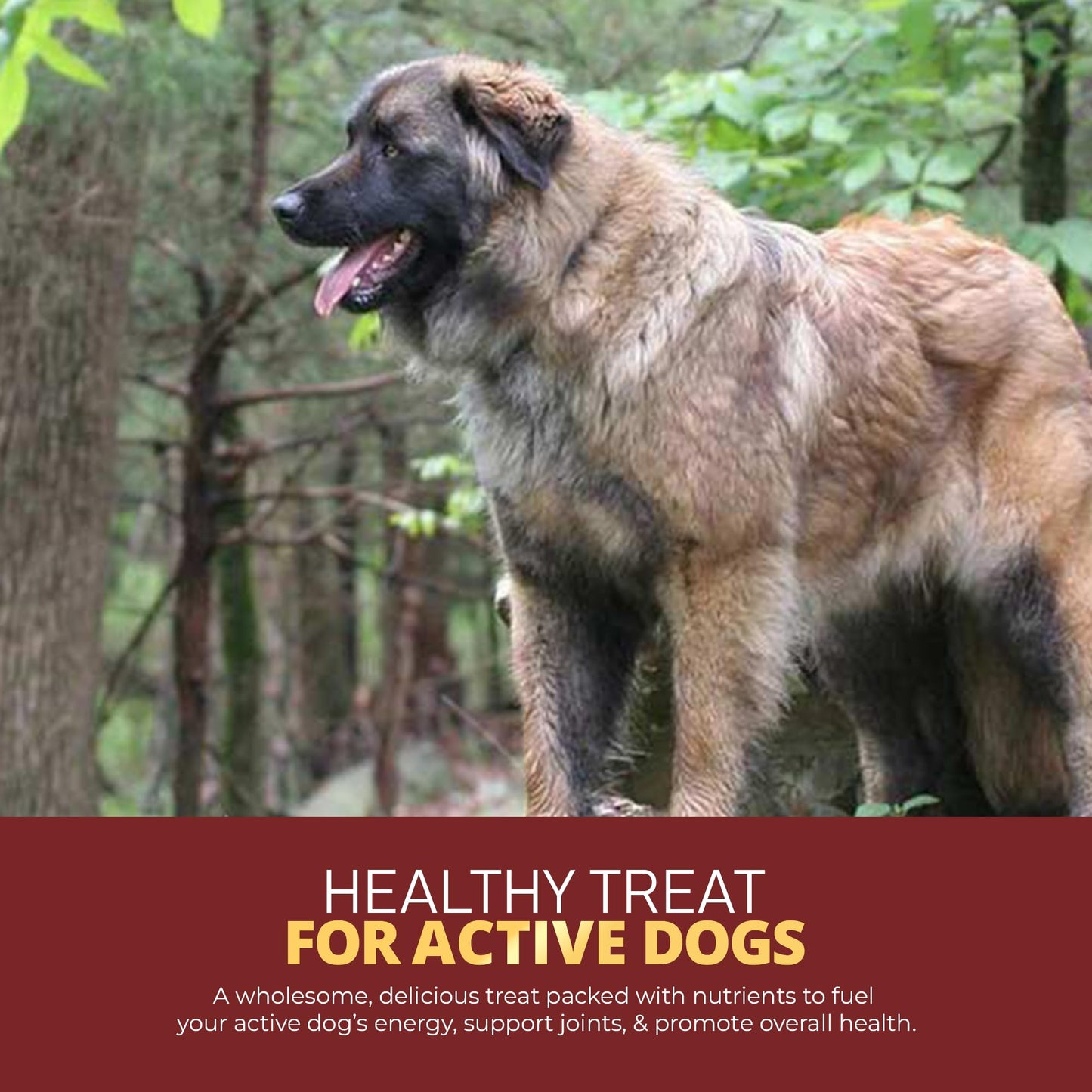 Mr Ros Natural Beef Cartilage for Dogs - Premium Collagen Chews for Aggressive Chewers - Long Lasting Dog Treats for Joint and Skin Health - Healthy Pet Treats - 150g per Bag