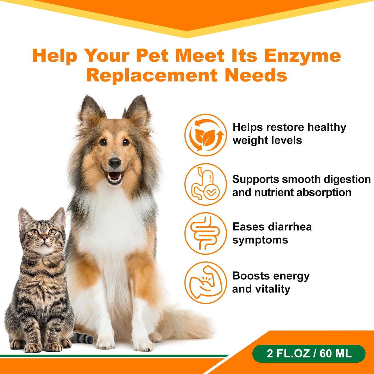 diytoolsman Pancreatic Enzymes for Dogs - Dog Digestive Enzymes & Support - Helps Dogs with EPI Restore Normal Weight, Digestive Health, and Manage Pancreatic Issues - 2 fl oz (Liquid)