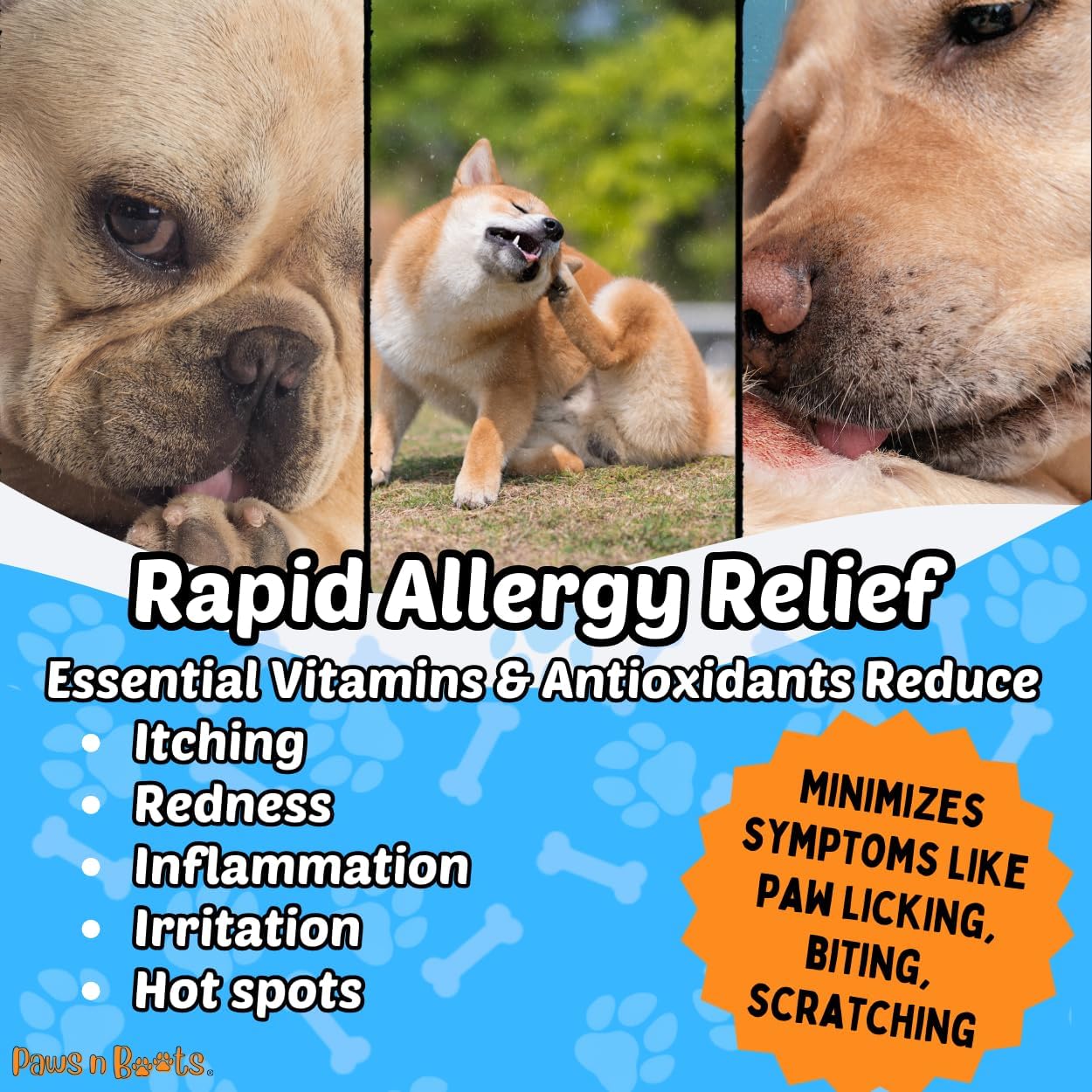 Protective Skin Barrier Cream Best Itchy Skin Relief for Dogs. Holistic Treatment, 100% Natural. Fast-Drying, Mess-Free Enriching Antioxidants, Relieves Itching, Hot Spots, Paw-Licking. Dober-Mint