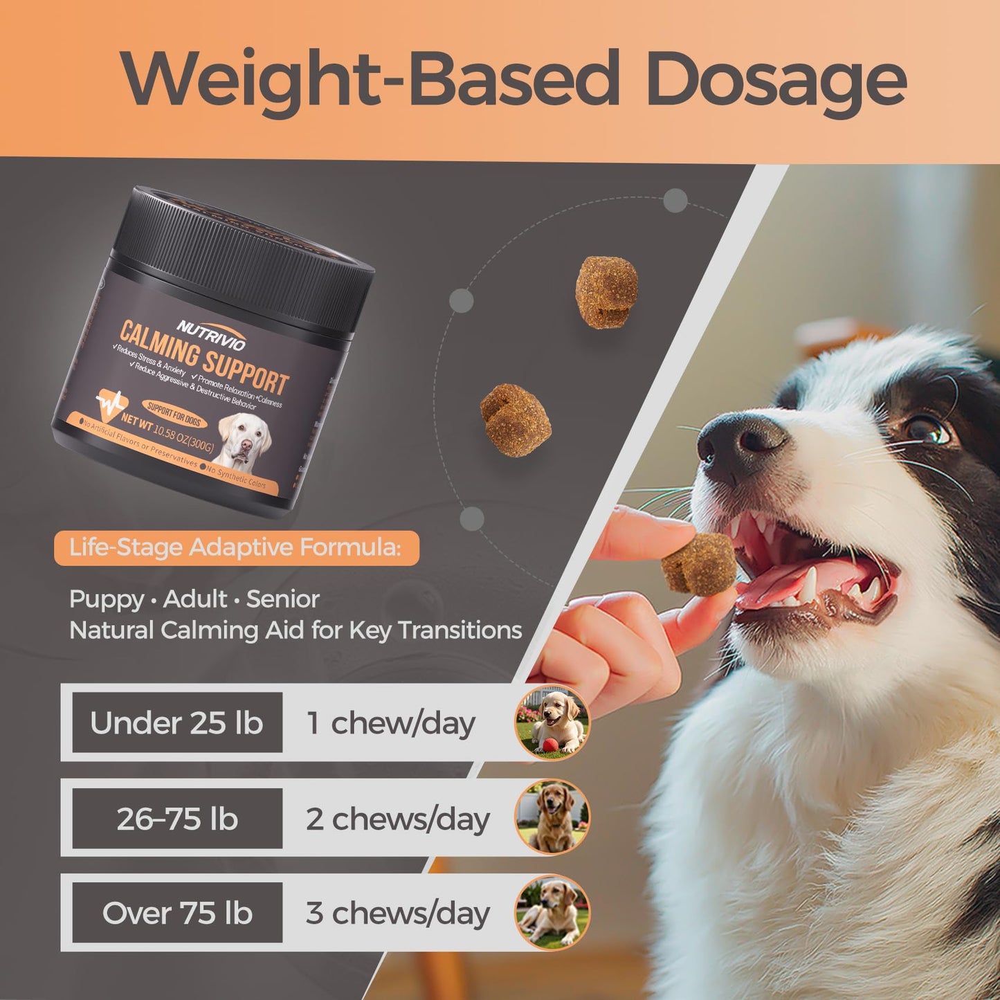 Reggie Calming Spread for Dogs | Natural Peanut Butter with Melatonin & L-Theanine to Reduce Hyperactivity, Separation Anxiety, & Stress | Vet-Approved for All Ages, Breeds, and Sizes - 30 Servings