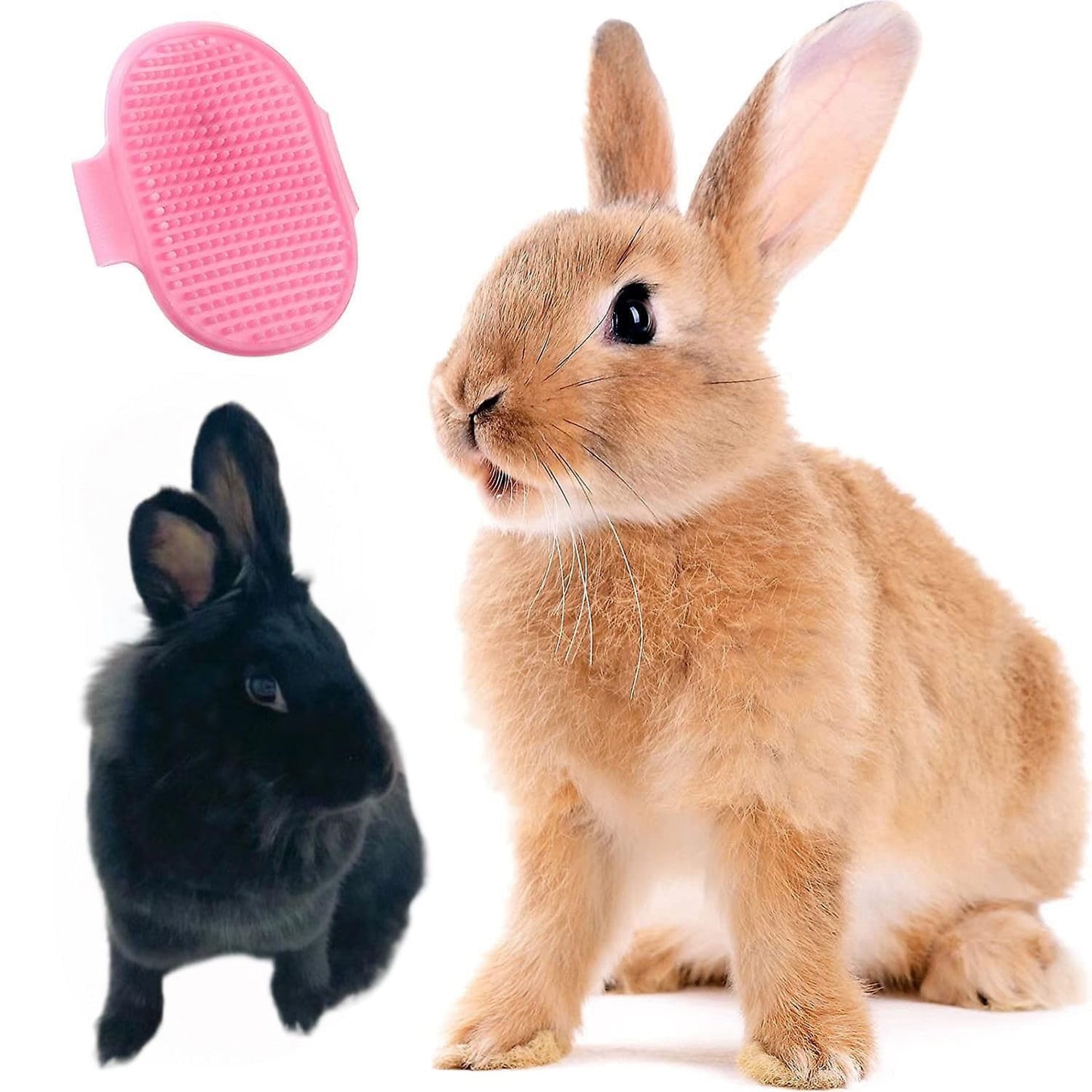Generic 6-Piece Pink Grooming Brush dogs & Cat, Dog hair brush for Grooming small dogs, Puppy Brush for Small Dogs, Includes Bunny Nail Clippers with Case Pink, Easy to Transpor