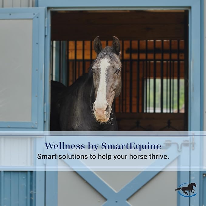 SmartEquine Slow Feed Hay Bag for Horses | Hay Feeder Net with Resistant Nylon | Gator Mouth Enclosure for Easy Loading | Fits 10-15 lbs of Hay | 4 Flakes Bag | 37" x 30" | Black | 2" Holes