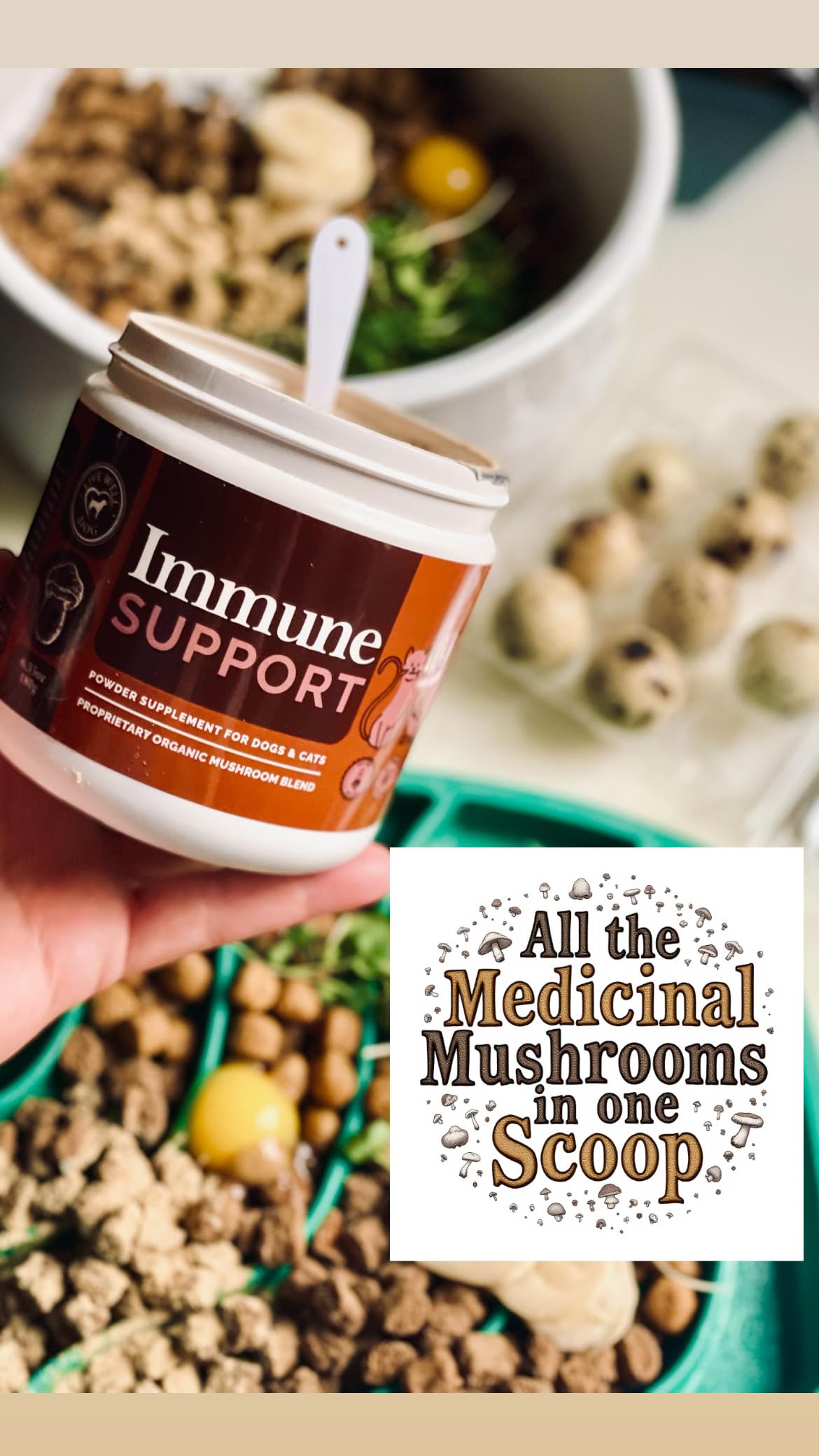 Live Well Dog Mushroom Blend Powder Food Topper 6.35oz, (300g)