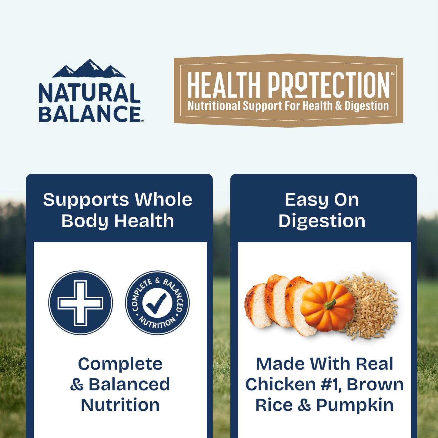 Natural Balance Health Protection Wet Dog Food – Whole Body Health, Easy on Digestion, Chicken, Pumpkin & Brown Rice Stew, Digestive Wellness Dog Food, High in Fiber - 12.5oz (Case of 6)