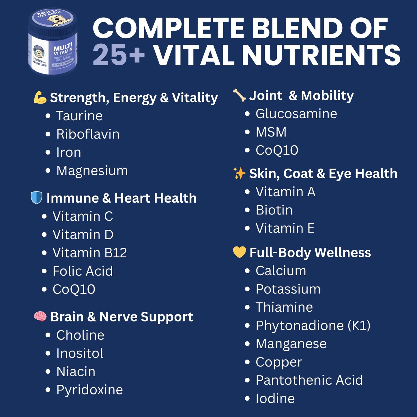 Under the Weather Multivitamin for Dogs | Vet Formulated Daily Canine Health Supplies for Immunity, Skin, Coat & Joint Support | All-in-One Multivitamin for Dogs of All Breeds & Sizes | 60 Count