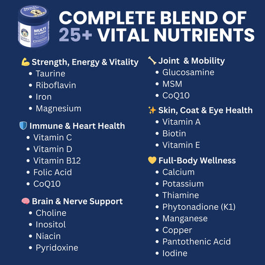 Under the Weather Multivitamin for Dogs | Vet Formulated Daily Canine Health Supplies for Immunity, Skin, Coat & Joint Support | All-in-One Multivitamin for Dogs of All Breeds & Sizes | 60 Count