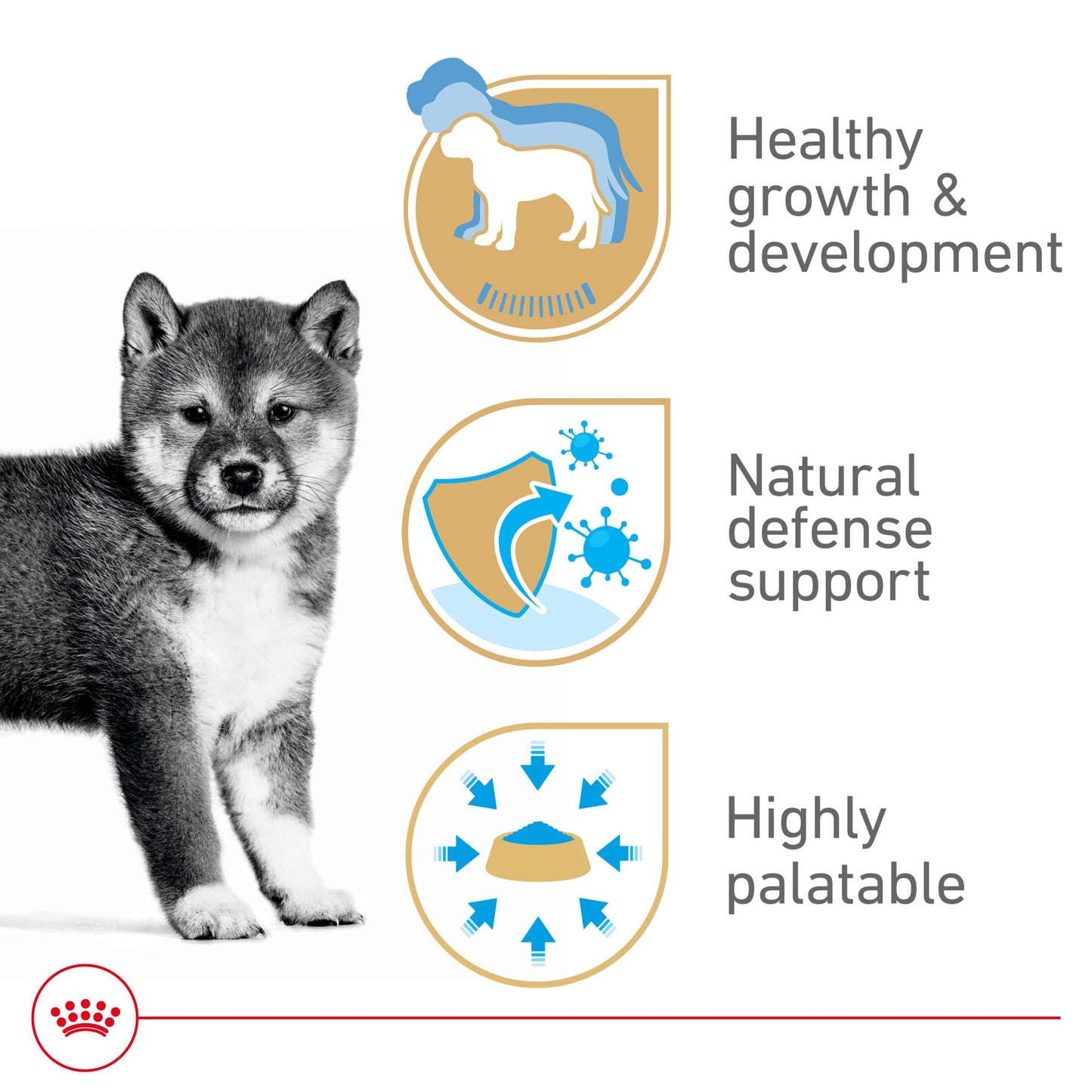 Royal Canin Canine Health Nutrition Puppy Canned Dog Food, 13.5 oz., Case of 12