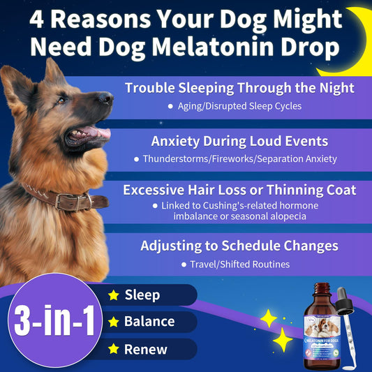 WEALLIN Dog Multivitamin Chews + Melatonin Drops Bundle – Daily Wellness & Sleep Support | Promotes Vitality, Calm Behavior & Restful Sleep