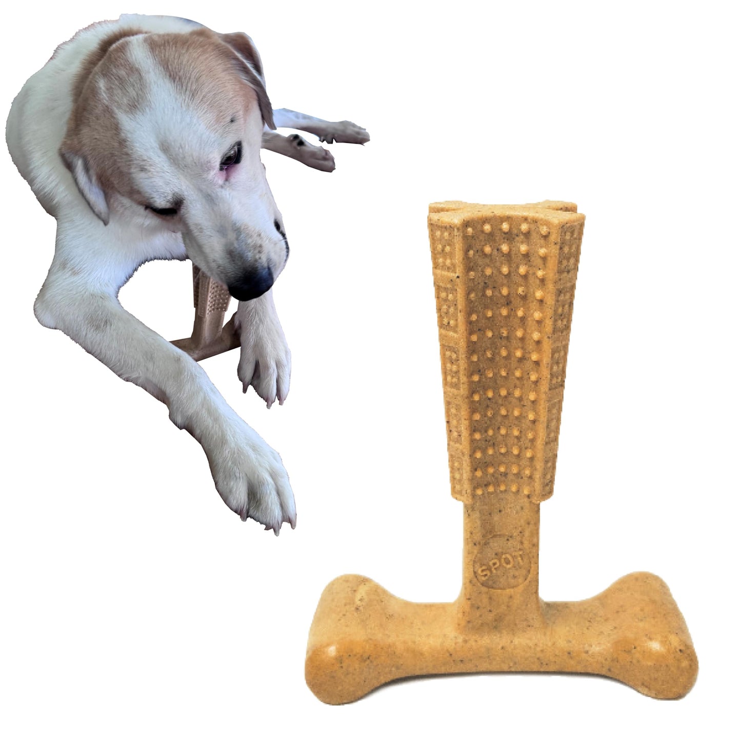 SPOT Bam-Bones Plus T-Bone, Bamboo Fiber & Nylon Dog Chew, Durable for Aggressive Chewers, Non-Splintering, for Adult Dogs & Teething Puppies Under 90lbs, 7in, Chicken Flavor