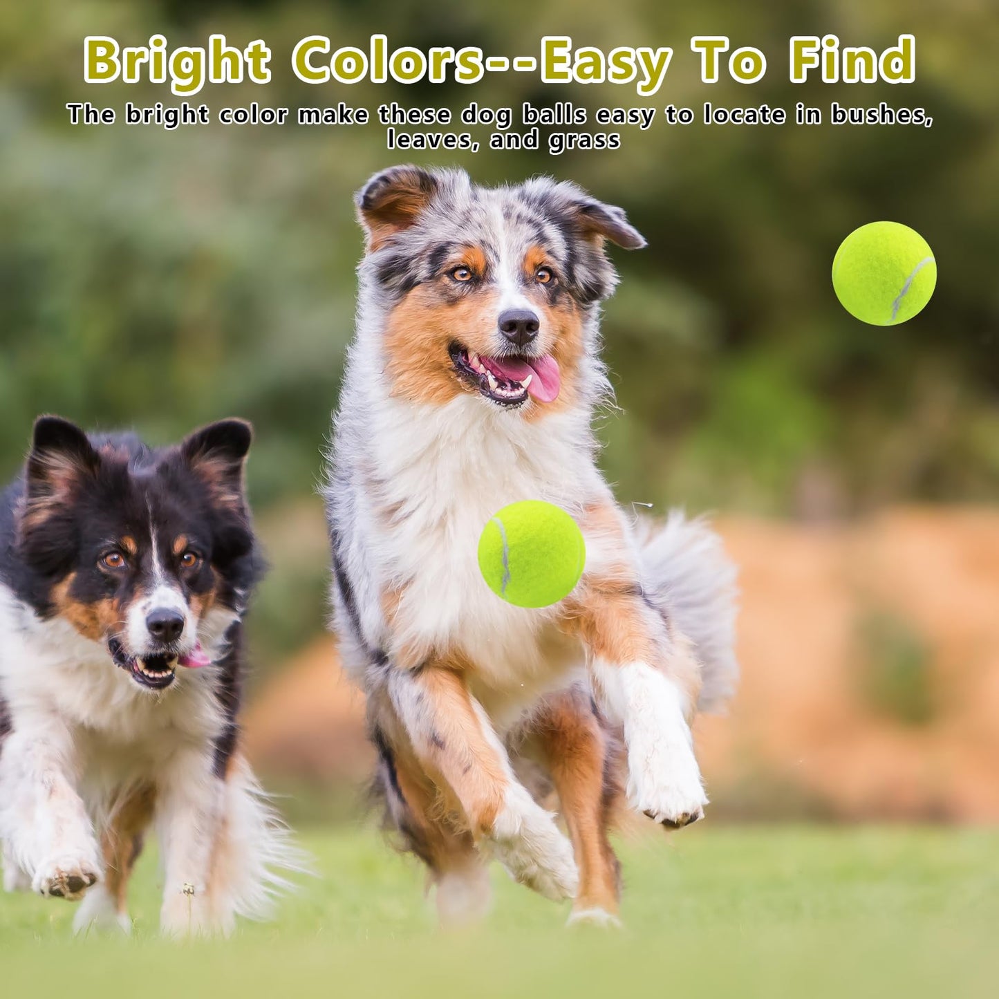 Magicorange Dog Tennis Balls, 20 Pack 2.5 inch Floatable Squeaky Tennis Balls for Fetch Exercise, Natural Rubber Squeaky Dog Balls Training Safe (Yellow, 2.5inch)