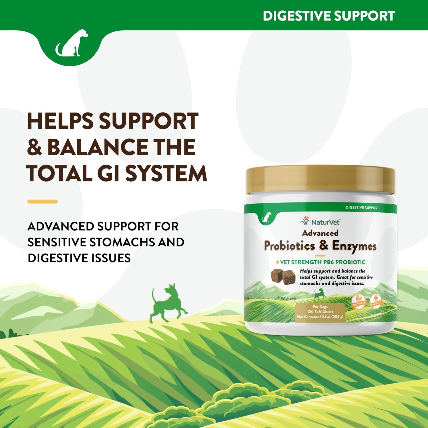 NaturVet Advanced Probiotics & Enzymes, PB6 Dog Soft Chews to Help Sensitive Stomachs and Digestive Issues, Hickory Smoked Bacon Flavored Pet Supplement for Dogs Over 6 Weeks, 120 Count Jar