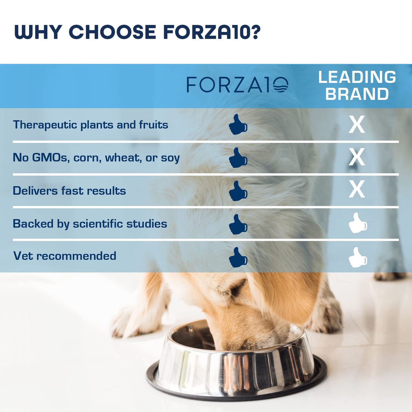 Forza10 Wet Hypoallergenic Dog Food, Fish Flavor, Canned Sensitive Skin Dog Food, for Adult Dogs with Skin Issues, 32 Pack Case of 3.5 Ounce Each