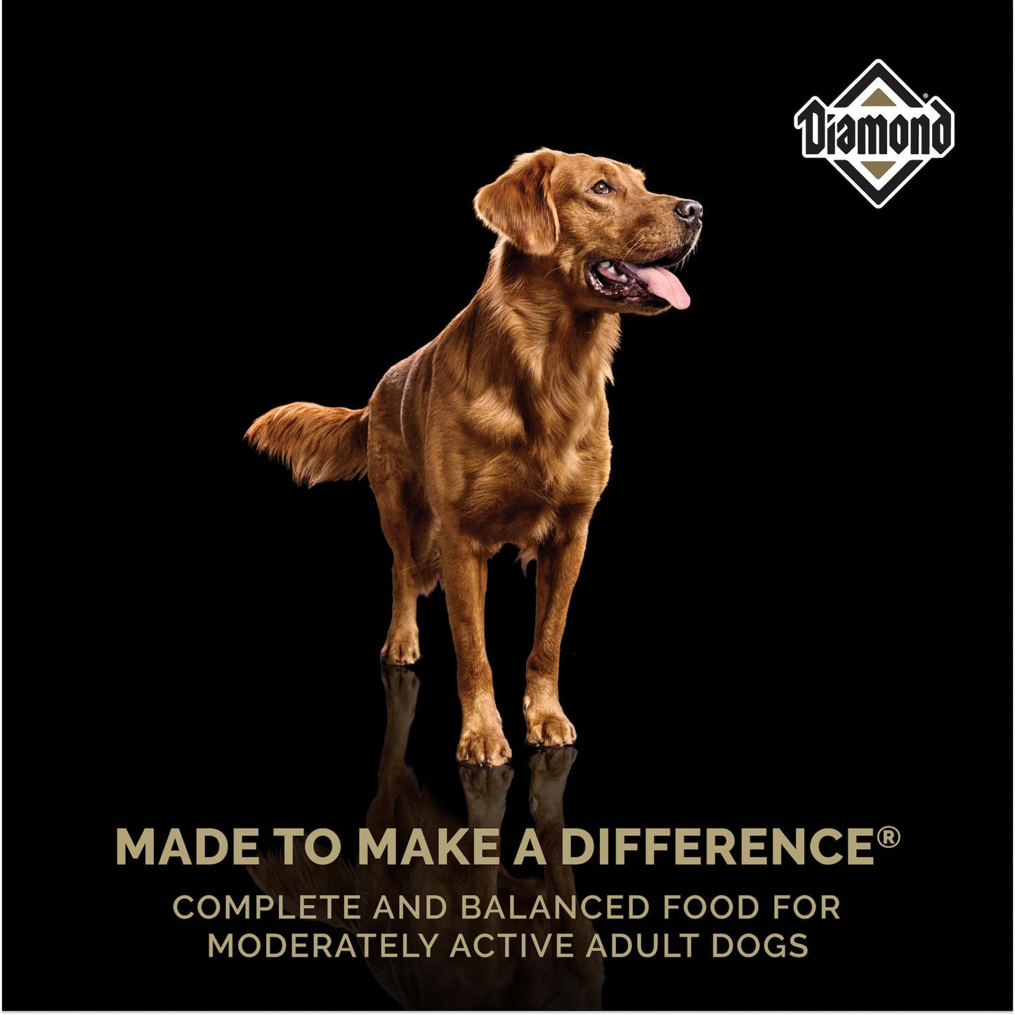 Advanced Dog Allergy + Advanced Hemp Bundle - Itch Relief + Joint Pain Relief - Probiotics w/Fish Oil Omega 3 + Glucosamine Chondroitin Hemp - Skin Allergies + Joint Health - 240 Chews - Made in USA