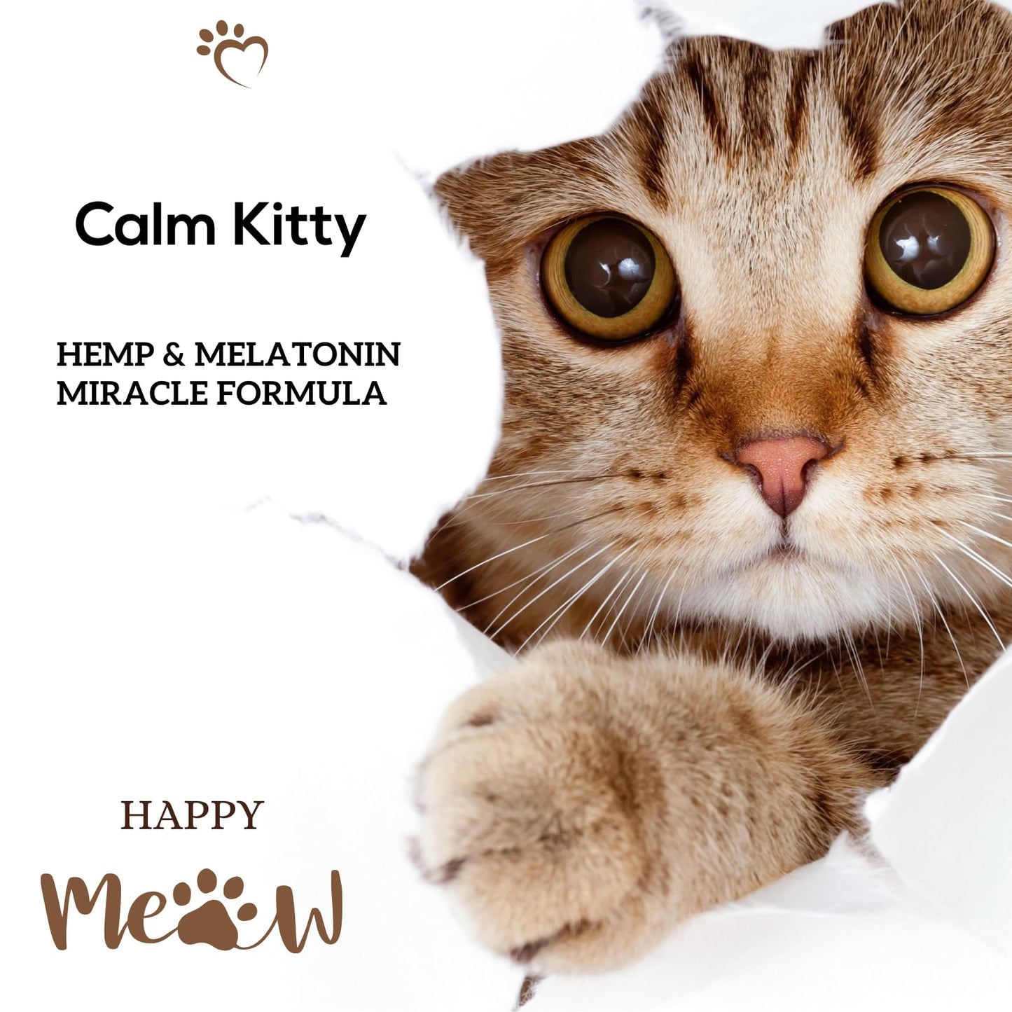 Busters Calming Hemp Oil, Enriched with Melatonin for Dogs, Cats, Pets, Sleep, WEL Being and an Ideal Omega Ratio, Adrenal and Cushings Support