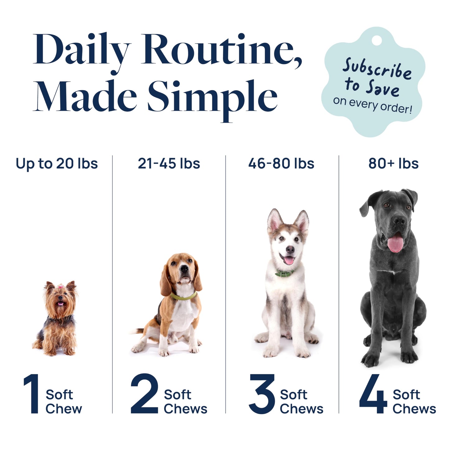 Veterinary Formula Gut Health Supplement for Dogs – Vet-Formulated Probiotic Chews with Digestive Enzymes & Fiber – Smart Vitality Supports Digestive Health, Gut Balance & Stool Quality, 60 Soft Chews