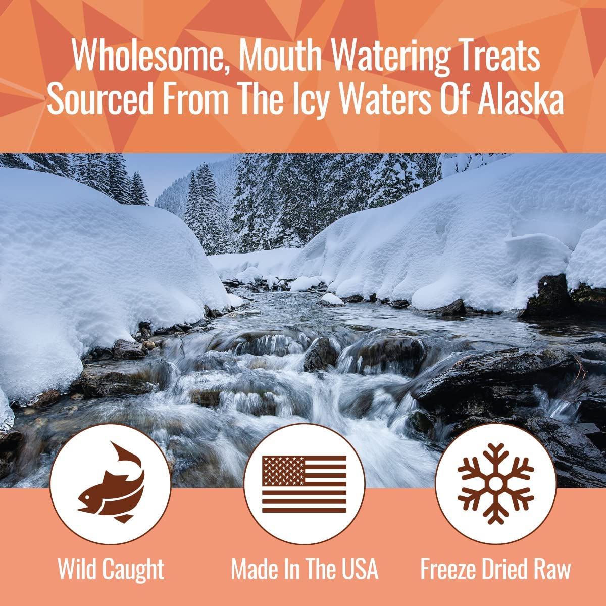 Smart Cookie Freeze Dried Salmon Bites - Single Ingredient Freeze Dried Treats for Dogs - Wild Caught Alaskan Salmon Dog Training Treats & Dog Food Topper - Made in USA - 2oz Bag, 3 Pack