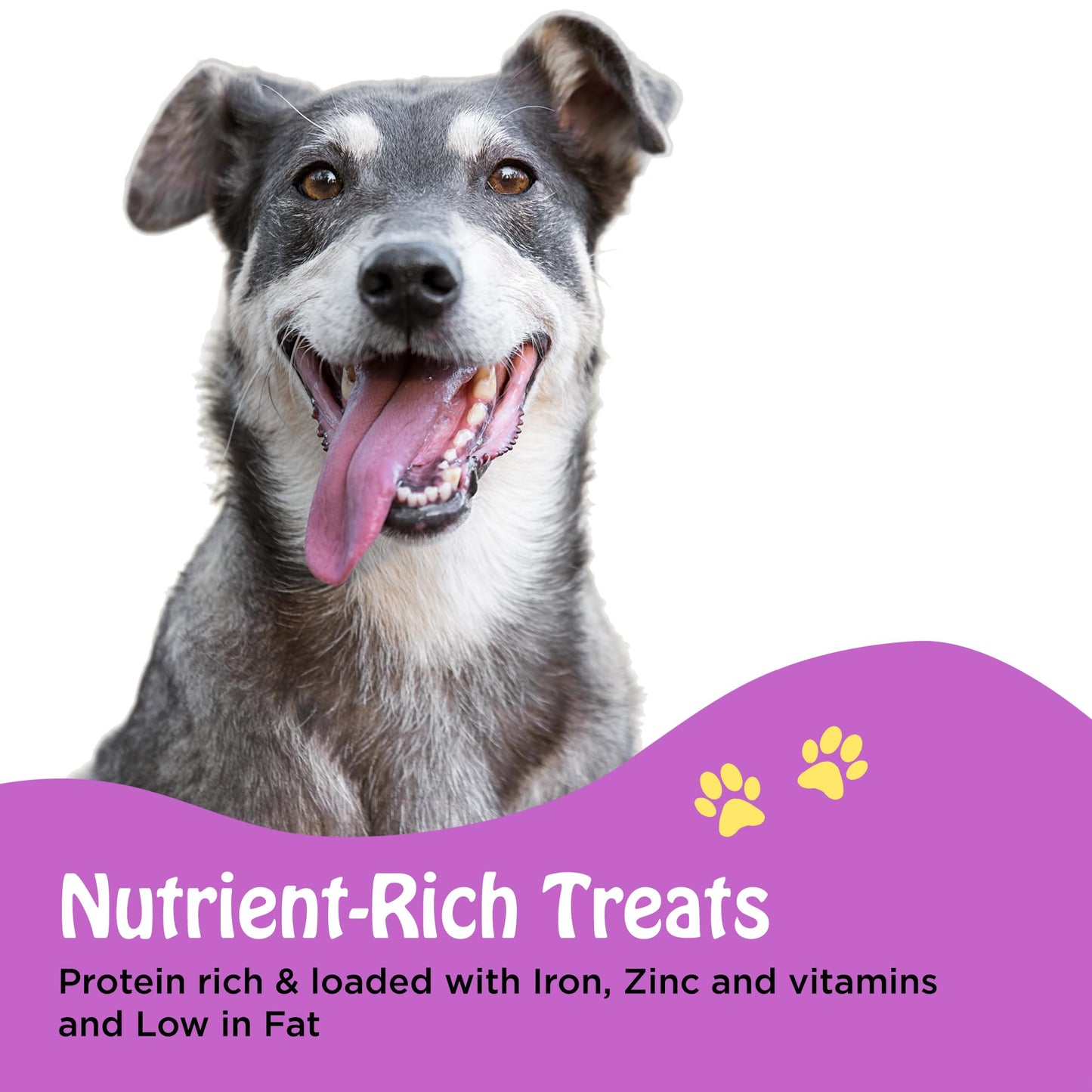 PIMA Water Buffalo Jerky, Dried Meat, Excellent Source Protein for Dogs - 15oz