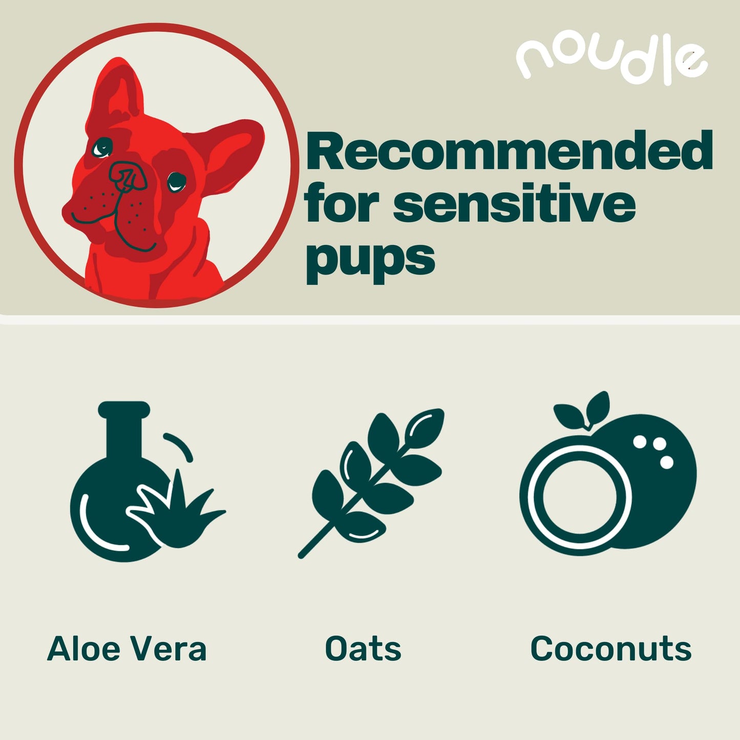 Noudle Pets - Fragrance Free Shampoudle, 16oz, Moisturizing and Gentle Natural pet Shampoo with Aloe, Coconut, and Oatmeal