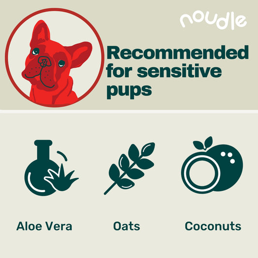 Noudle Pets - Fragrance Free Shampoudle, 16oz, Moisturizing and Gentle Natural pet Shampoo with Aloe, Coconut, and Oatmeal