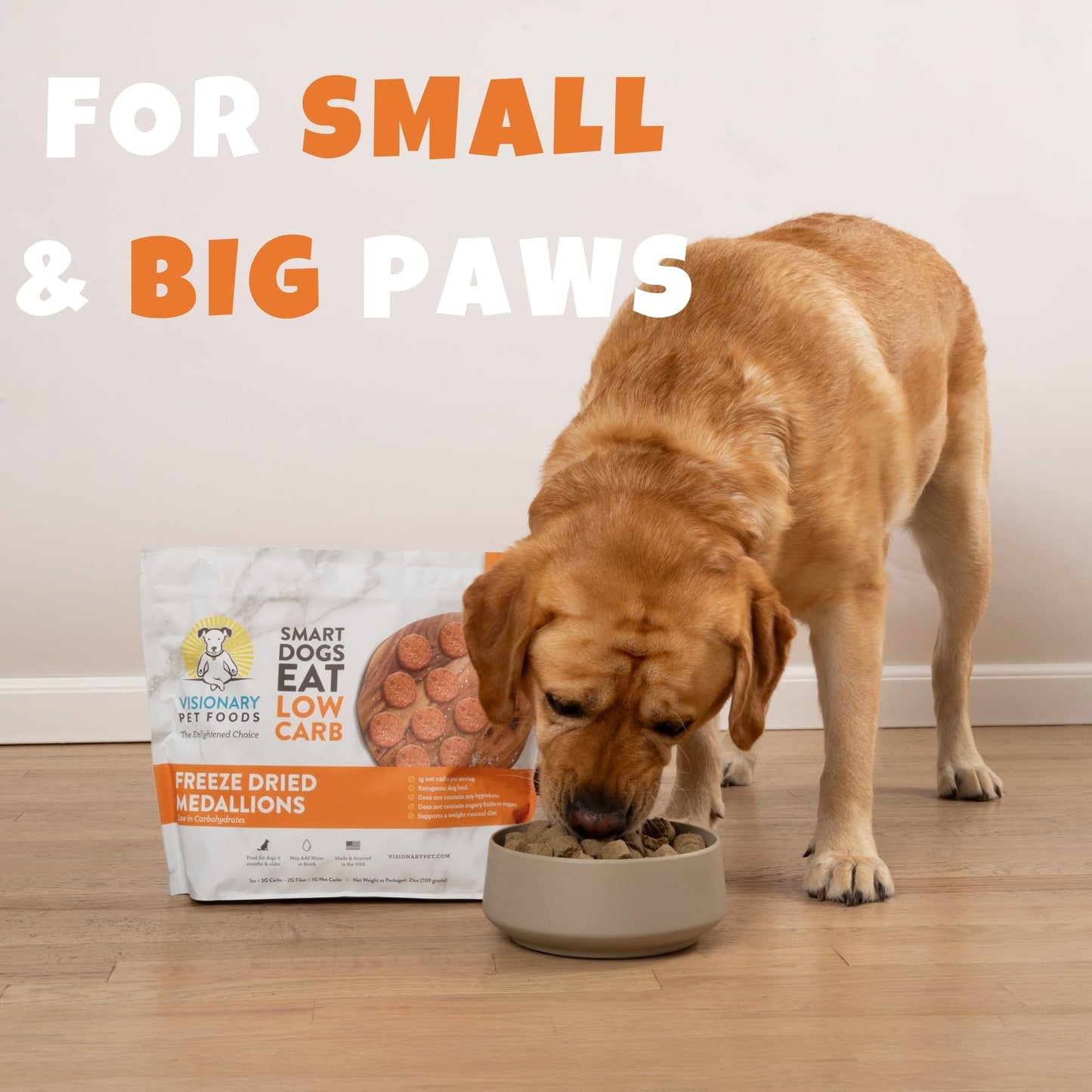 Visionary Pet Foods Chicken Freeze Dried Dog Treats - 310x Medallions Keto and Diabetic Friendly - Additive Free, Made in USA Low Carb, High Protein - Healthy Dog Training Treats, Resealable Bag