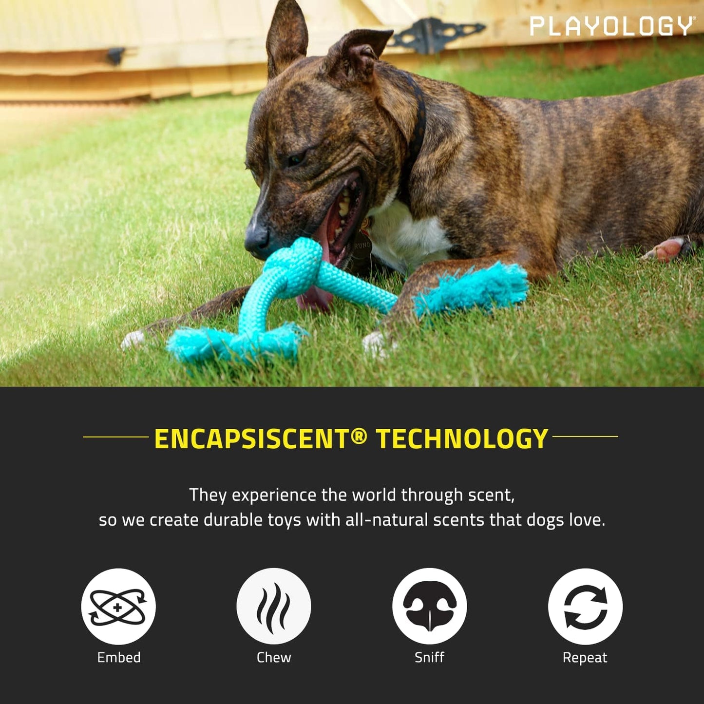 Playology Dri Tech Rope Medium Chew Toy, Peanut Butter & Beef, 2-Pack