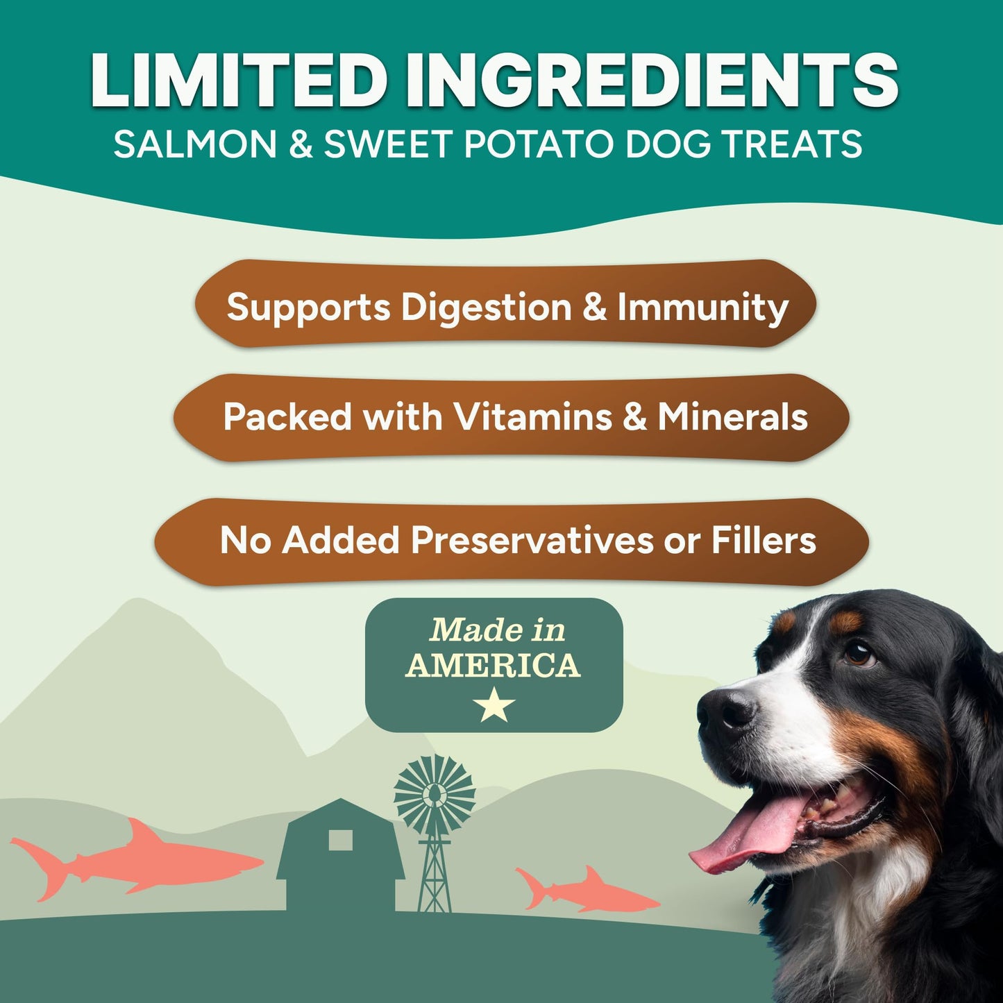 Gaines Family Farmstead Salmon & Sweet Potato Fillets for Dogs - 8 oz Pouch, All-Natural Dog Treats – Wild Caught Alaskan Salmon, Soft Chew, Limited Ingredients, Made in USA