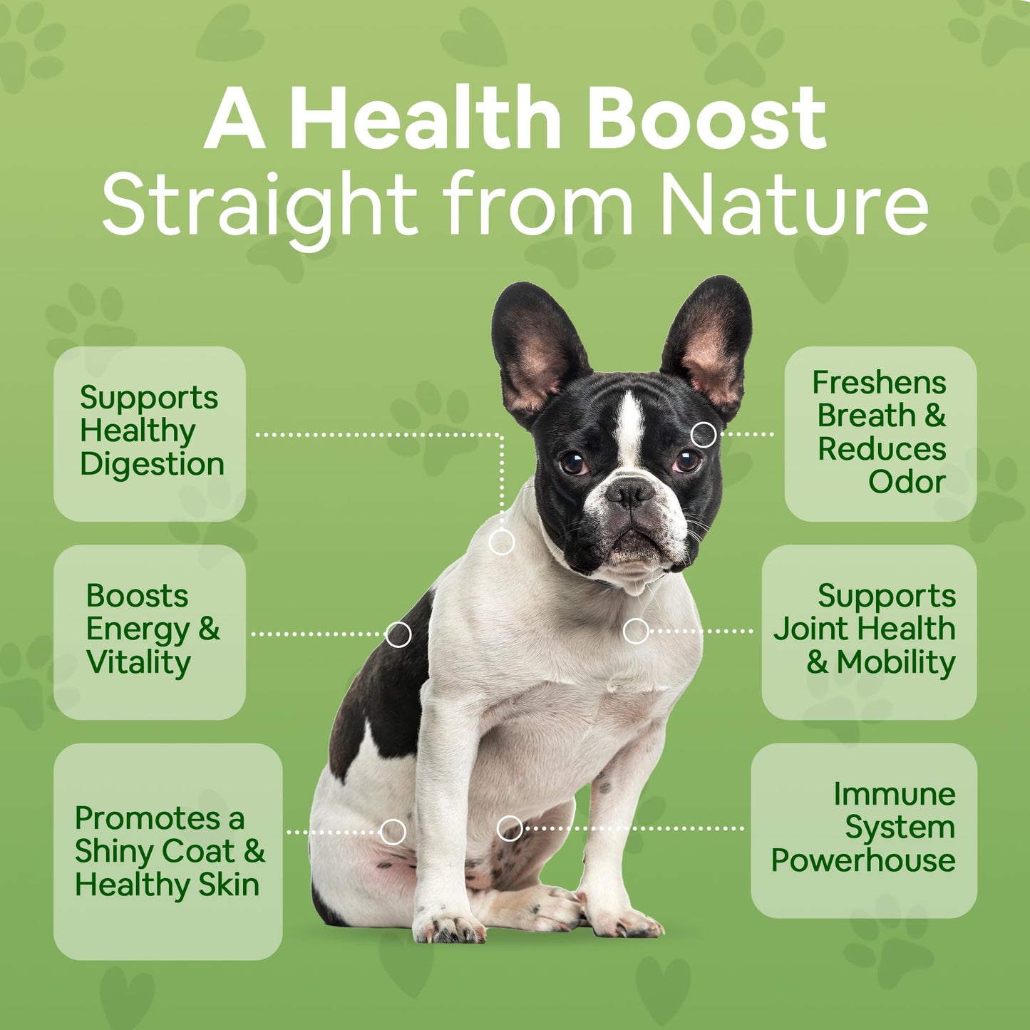 Dog Greens Superfood Multivitamin Powder - Dog Vitamins and Supplements, Organic Kelp, Spirulina, Sea Moss for Homemade Food, Kibble and Raw Meals, Energy, Immune, Joint & Skin Support for All Ages