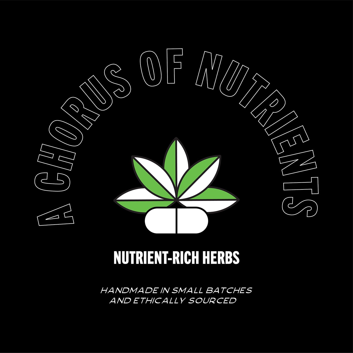 Bark2Basics Rock The Dog Herbal Pet Shampoo, 1 Gallon - Naturally Derived Ingredients, Unique Herbal Blend, Protects, Repairs, and Nourishes, Professional Grade