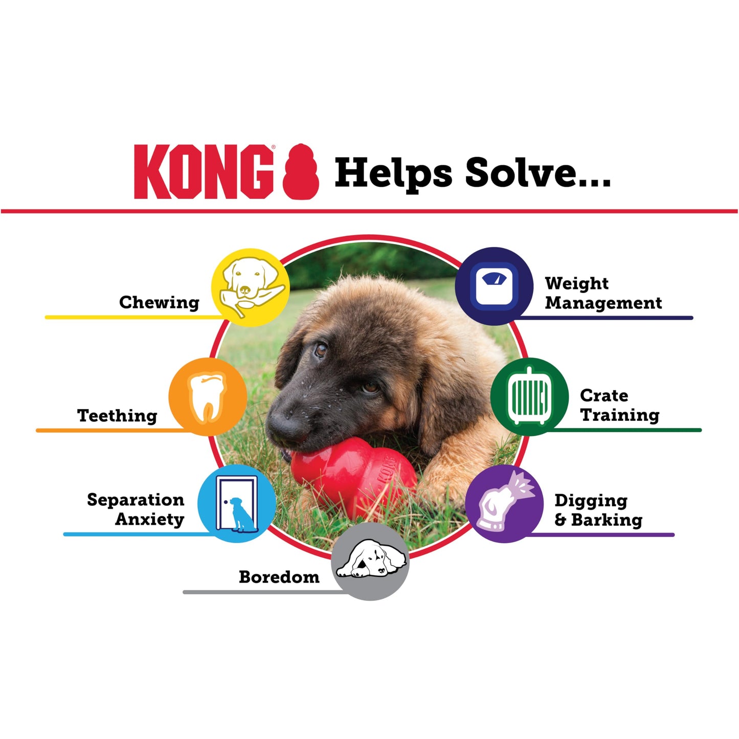 KONG Extreme Dog Toy - Fetch & Chew Toy - Treat-Filling Capabilities & Erratic Bounce for Extended Play Time Most Durable Natural Rubber Material - for Power Chewers - for Small Dogs