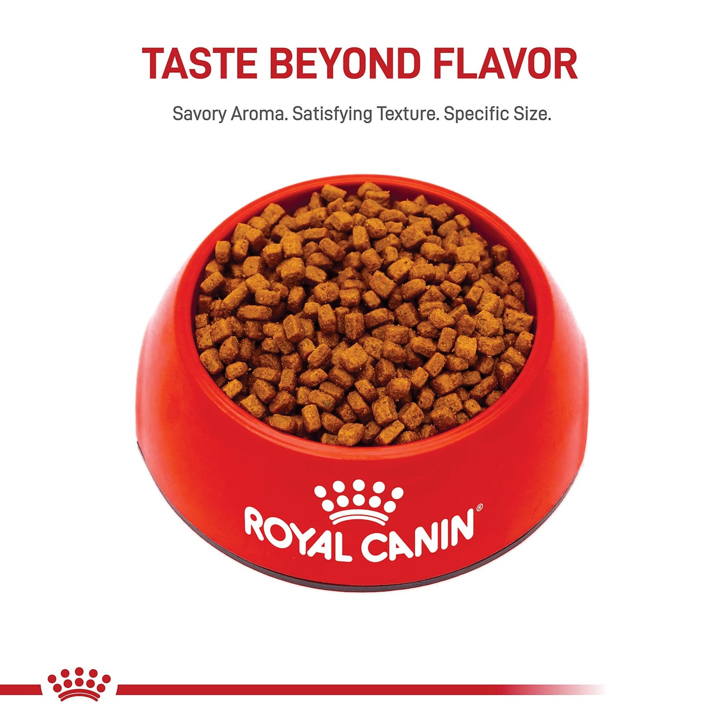 Royal Canin Breed Health Nutrition Chihuahua Puppy Dry Dog Food, 2.5 lb Bag