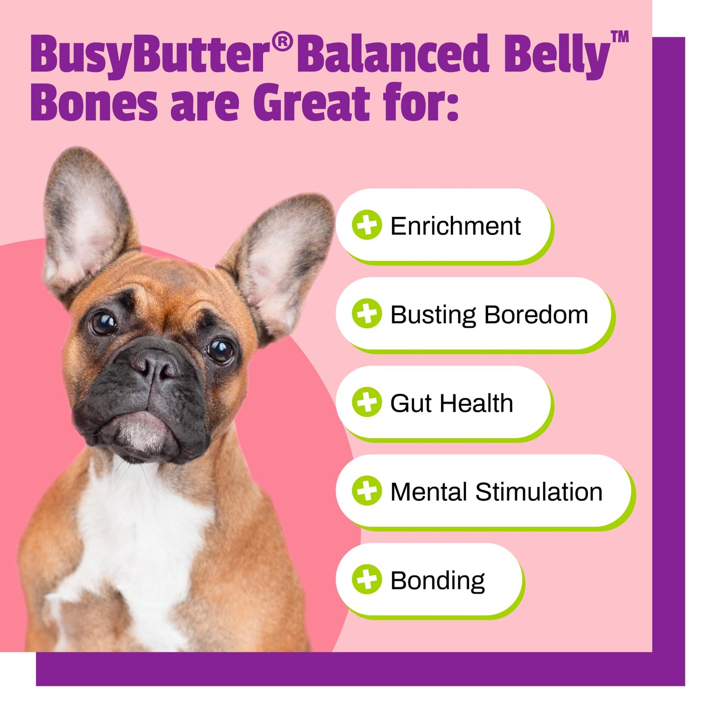 Pet Naturals BusyButter Balanced Belly Peanut Butter Bones, Rawhide-Free Chews for Small Dogs, Long Lasting Chew Bones, Probiotics and Pumpkin for Gut Health, 22 Count