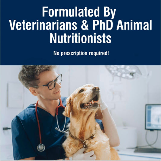 Blue Buffalo True Solutions Digestive Care Natural Dry Dog Food for Adult Dogs, Chicken, 11-lb. Bag