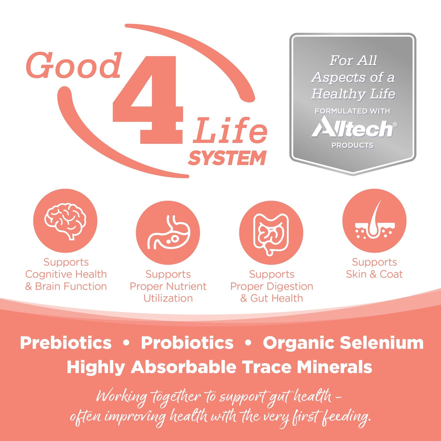 NutriSource Seafood Select Grain-Free Dog Food, Made with Salmon and Menhaden Fish Meal, 5LB, Dry Dog Food