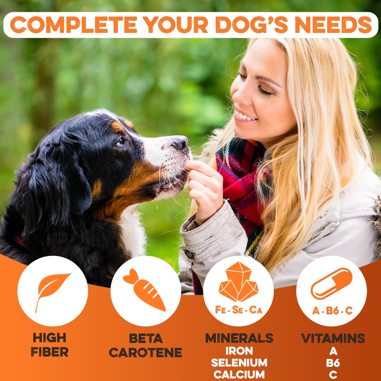 BRUTUS & BARNABY Sweet Potato Dog Treats- No Additive Dehydrated Sweet Potato Fries, Grain Free, Gluten Free and No Preservatives Added (5lb)