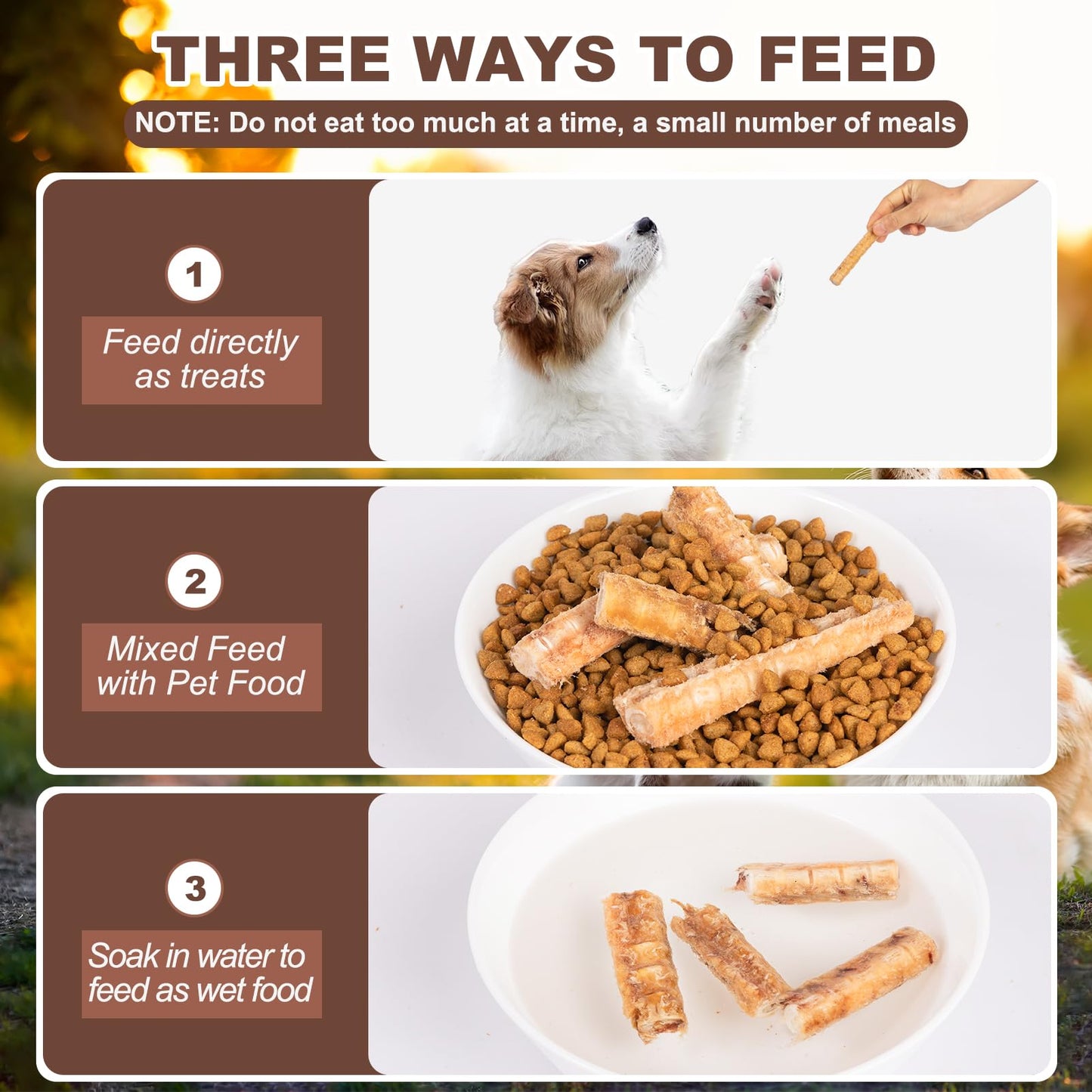 yizeril Freeze-Dried Salmon Bones Dogs Treats - Single Ingredient Dental Chews,High Calcium Grain-Free Pet Snacks for Teeth Cleaning & Joint Health (12Pcs)