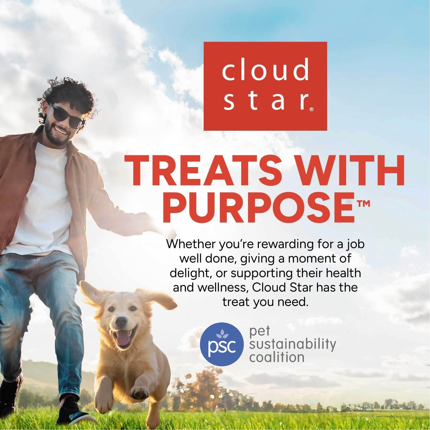 Cloud Star Wag More Bark Less Grain Free Meatball Bites, BBQ Chicken Recipe, 14 oz.