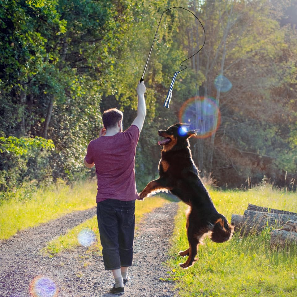 POPETPOP Flirt Pole for Dogs Interactive Dog Toys - Extendable Teaser Wand Outside Interactive Fun Toys with 2 Rope Chew Play Toys for Training Exercise (Size L)