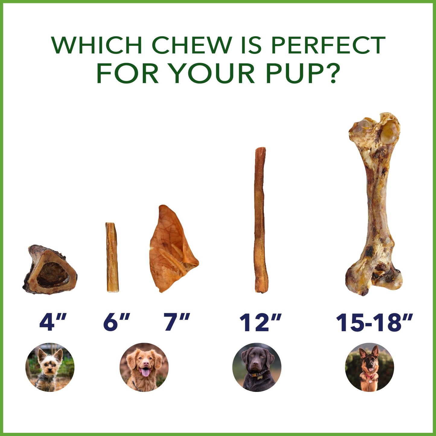 Pet Factory Real Chewz 12" Steer Sticks Dog Chew Treats, 100% All-Natural - 2 Count/1 Pack