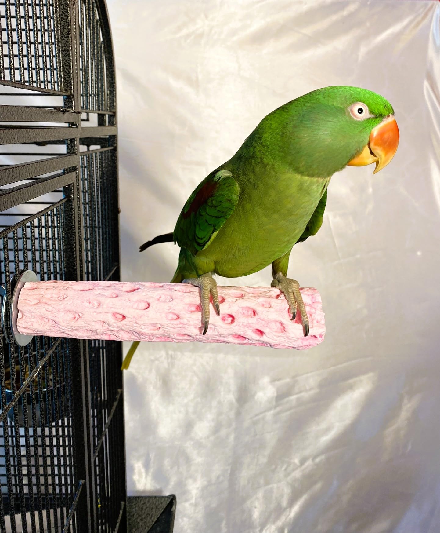 Pawfoo Lab Squeaky Dog Toys, Plush Puzzle Hide and Seek Puppy Toys to Keep Them Busy – Cute Stuffed Dog Chew Toys for Small, Medium Breed - Crab