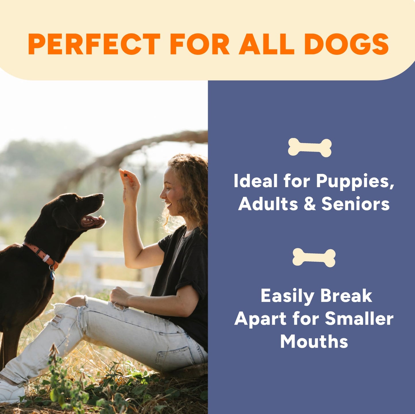 Gaines Family Farmstead Pumpkin & Sweet Potato Dog Bones – 6 oz Bag, Natural, Grain-Free Dog Treats for Digestive Health & Immunity – High-Fiber, Vitamin-Rich Chews, Made in USA