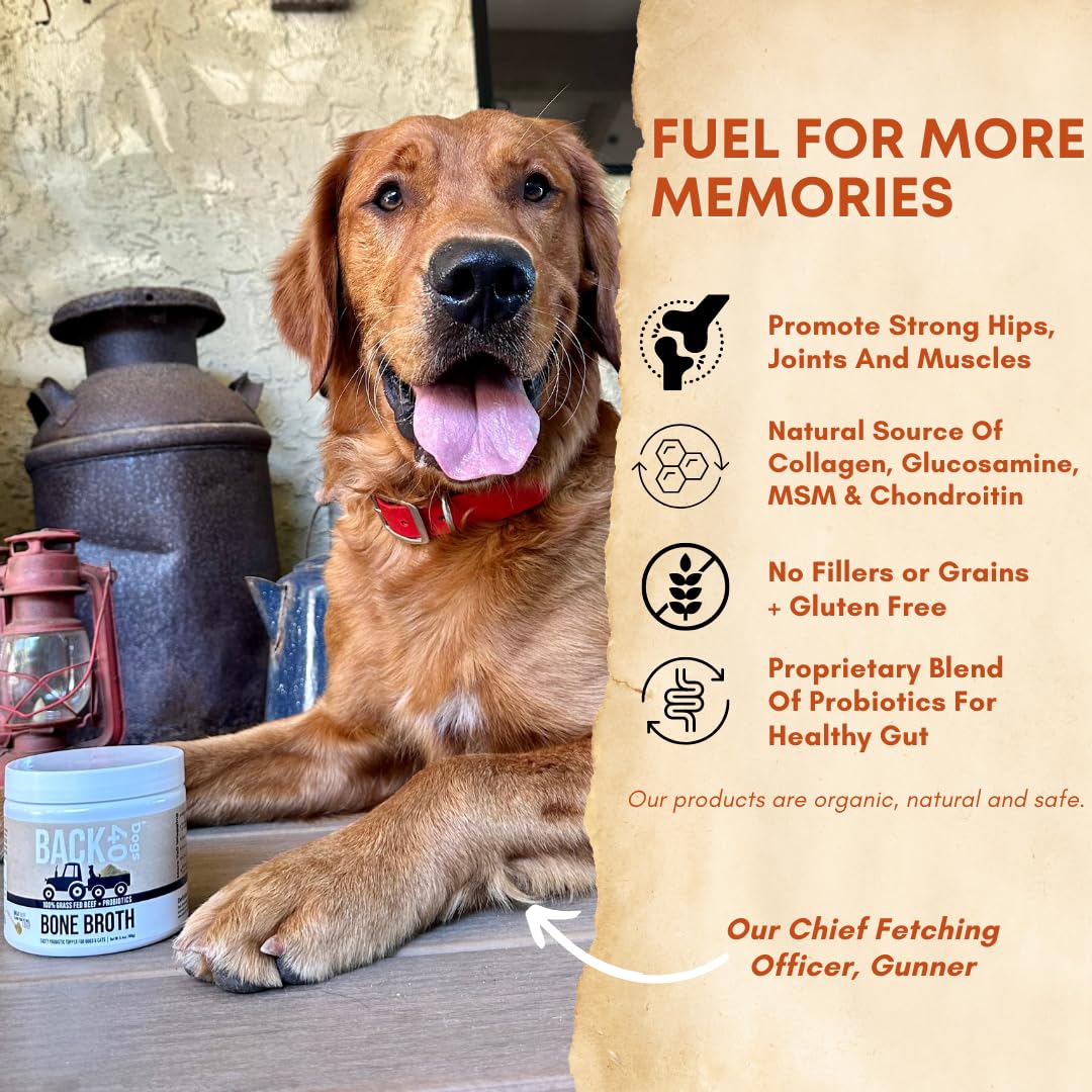 Pedigree Complete Nutrition Adult Dry Dog Food Roasted Chicken, Rice & Vegetable Flavor Dog Kibble, 3.5 lb. Bag (Pack of 4)