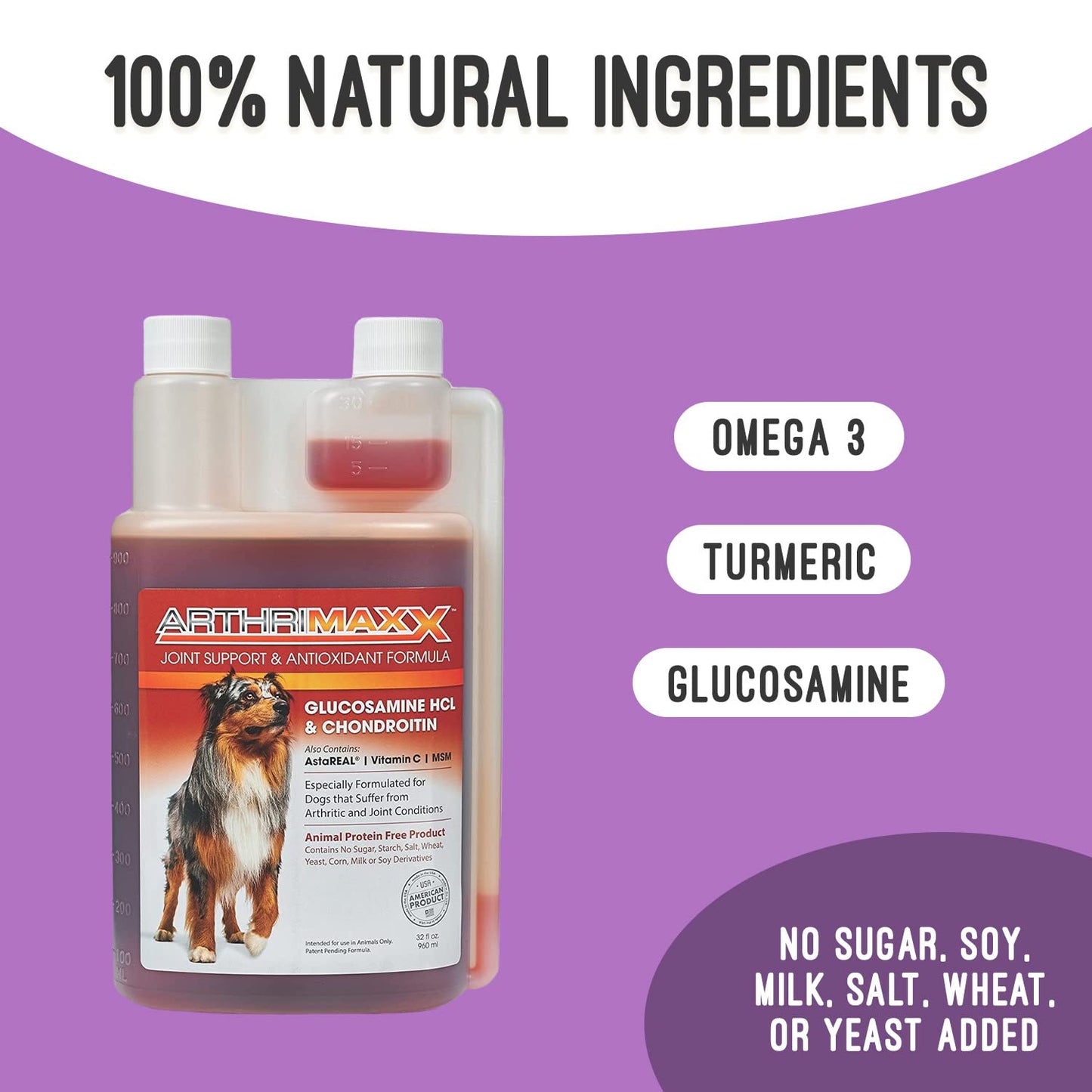 ArthriMAXX Dog Supplement for Joint Inflammation & Arthritis, Naturally Potent Dog Joint Care, Antioxidant Formula with MSM, Chondroitin, Vitamin C, & Glucosamine for Dogs, 32 fl oz
