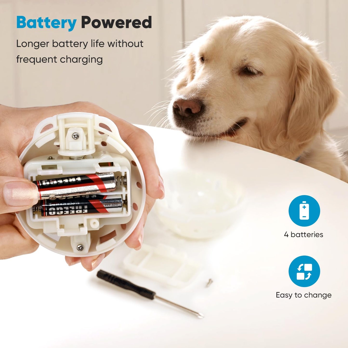 Merrick Lil’ Plates Premium Grain Free Dry Dog Food For Small Dogs, Real Texas Beef And Sweet Potato Kibble - 20.0 lb. Bag