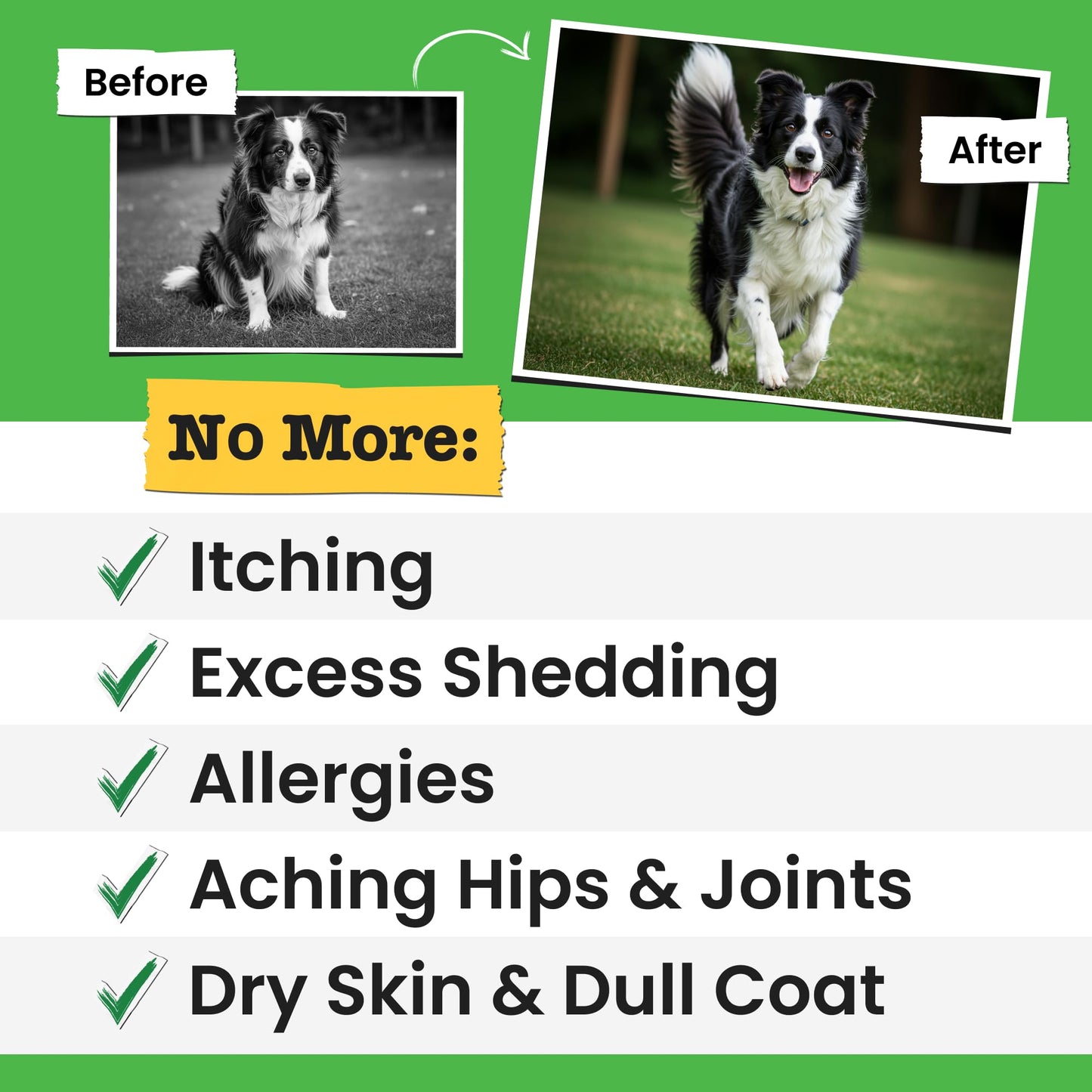 Advanced Dog Probiotics + Omega 3 Fish Oil for Dogs & Cats Bundle - Liquid Fish Oil Supplement - Diarrhea, Gas, Upset Stomach Relief & Season Allergy - Made in USA