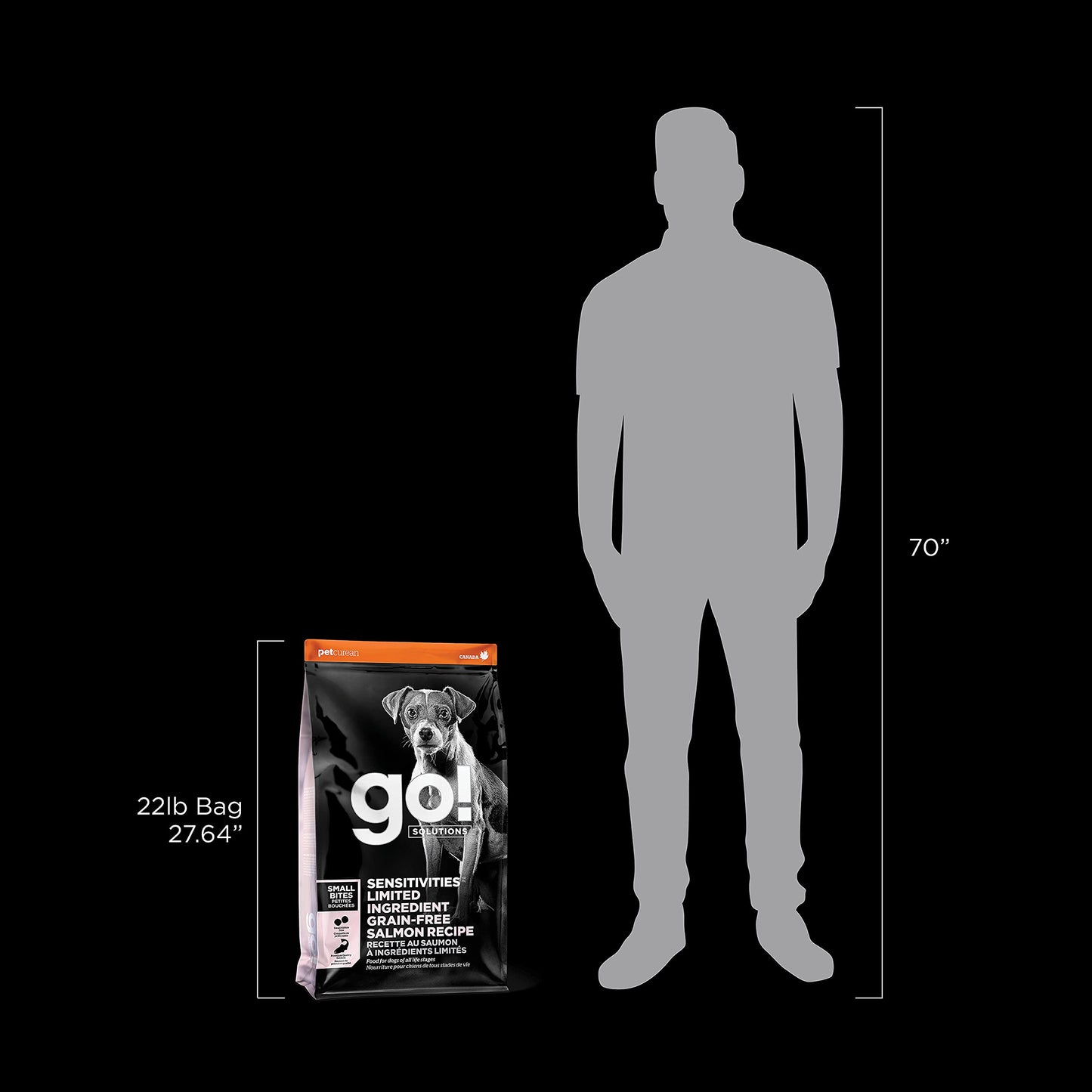 Go! Solutions Sensitivities Limited Ingredients, Grain-Free Dry Dog Food, Small Bites Salmon Recipe for Sensitive Stomach, 22 lb Bag