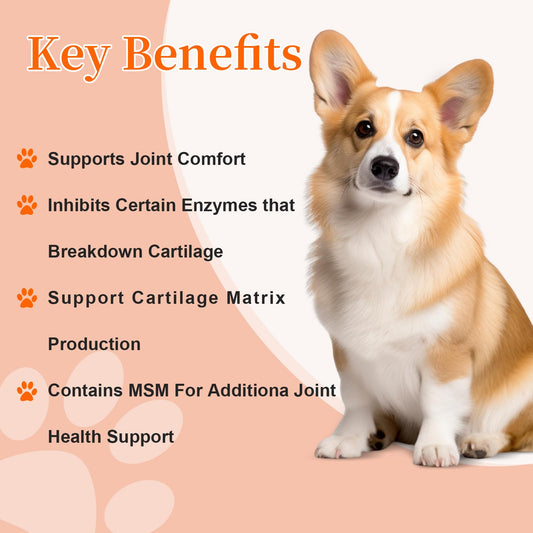 Hip and Joint Supplement Dogs with Glucasamine for Dogs, Hip Pain Relief for Small, Medium and Large Breed, Hip and Joint Chews for Dog MSM, Chondroitin 90 Count, Chicken Flavor