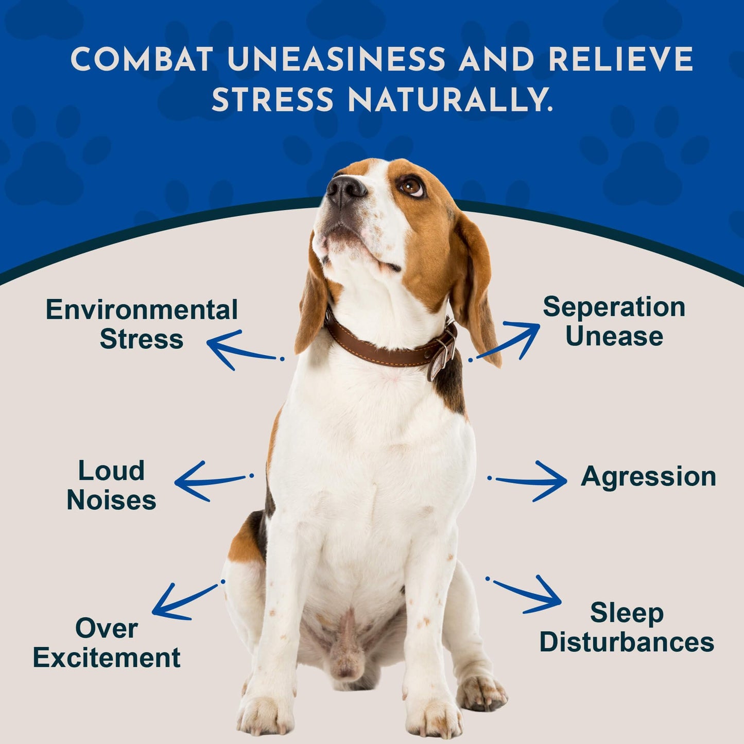 Animal Essentials Tranquility Blend for Dogs & Cats - Calming Supplement, Valerian Root, Liquid Drops, Herbal Formula - 1 Fl Oz