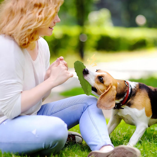 LIFLIX Tough Squeaky Dog Toys, Durable Dog Chew Toy with Natural Rubber, Teething Toys for Medium Large Breeds, Cucumber Pickle Shape